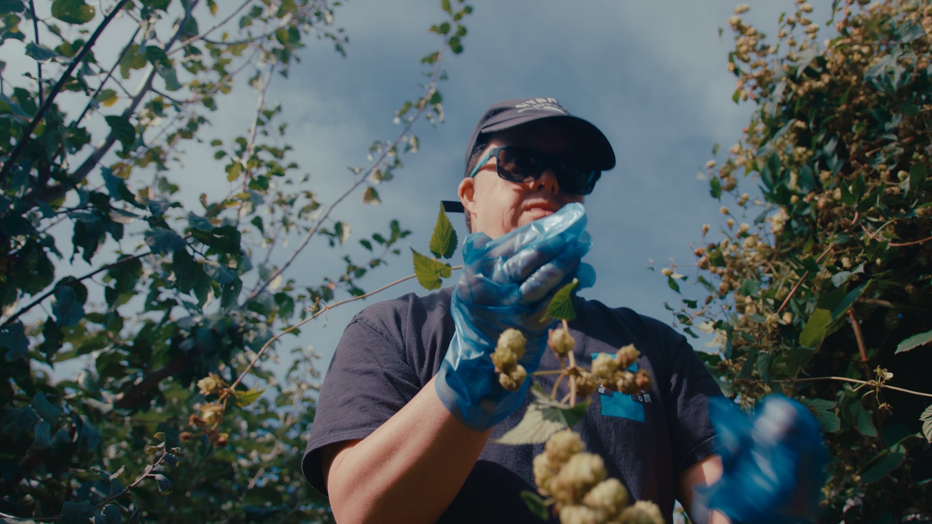 Ivybridge Brewing Co. - Micro-Documentary