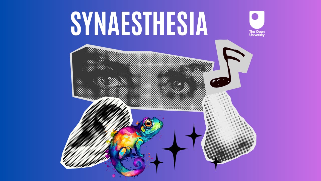 Morning Live OU Synaesthesia interactive page