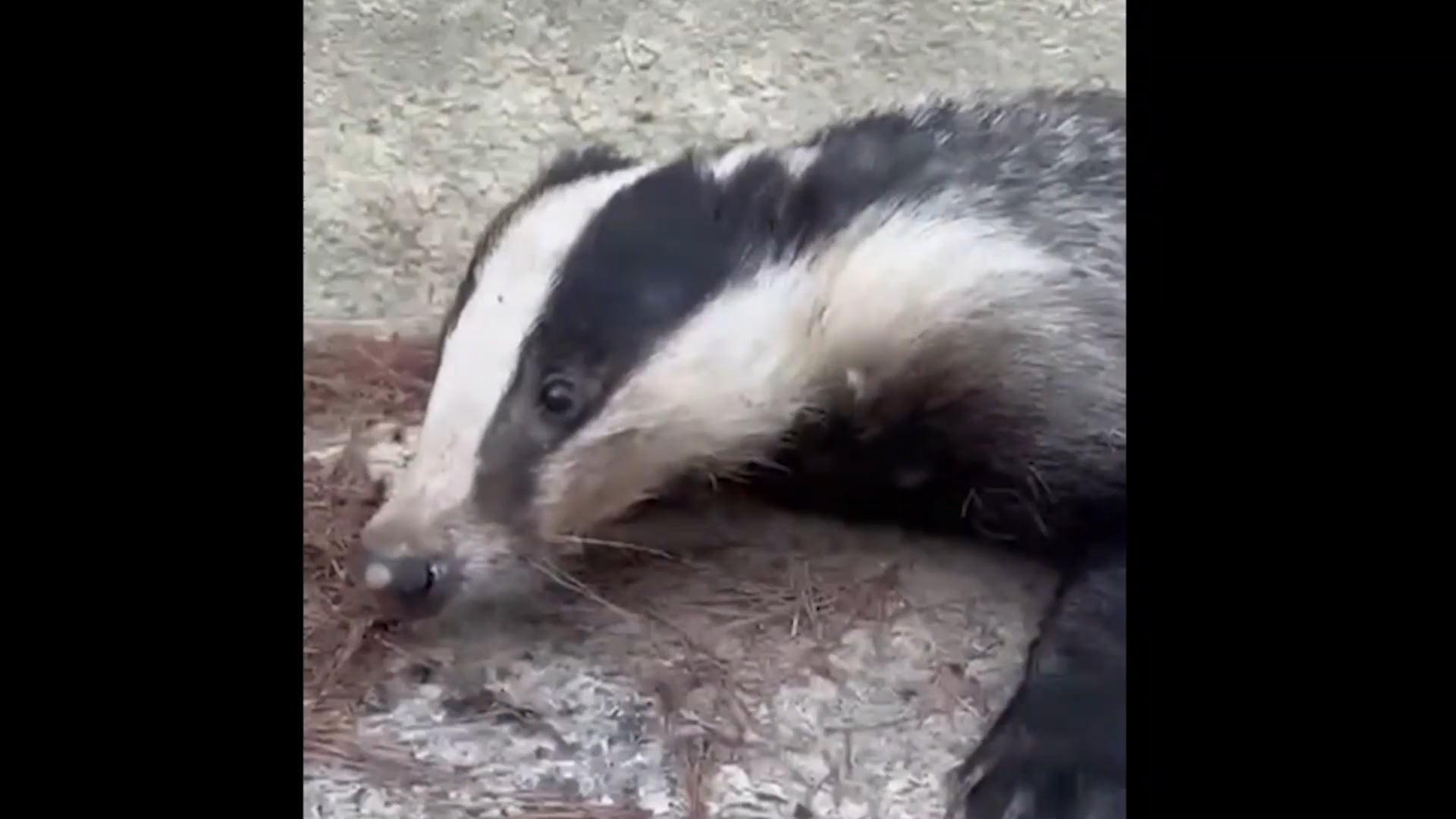 video