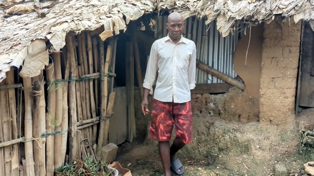 La forêt d’hier et d’aujourd’hui