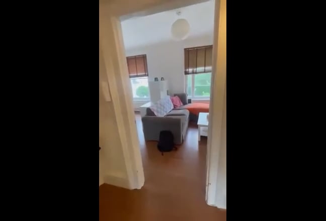 Video 1: