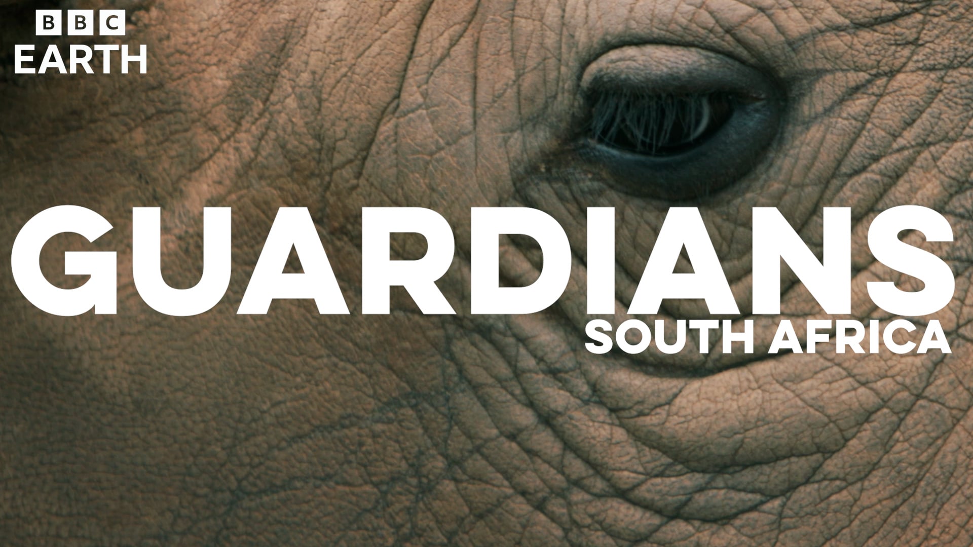 BBC Earth | Guardians | Kruger National Park