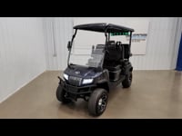 22184 evo