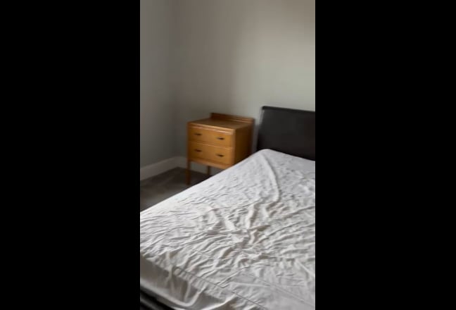 Video 1: Rear view