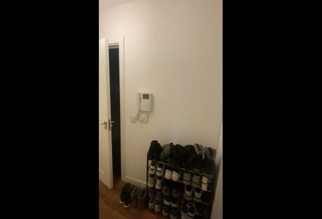 Video 1: