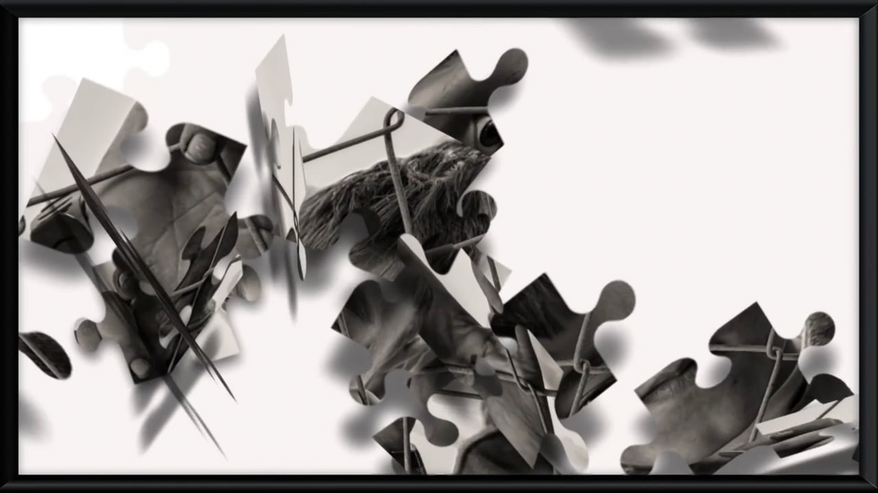 https://i.vimeocdn.com/video/2067801092-86c875b6b0d587bb45059a342e863fb48048bc43d0ae3b547720a600e9c0d91c-d
