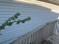 Listing Video