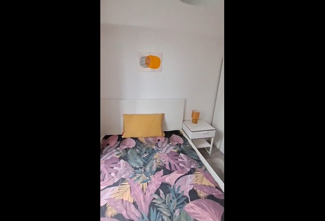 Video 1: