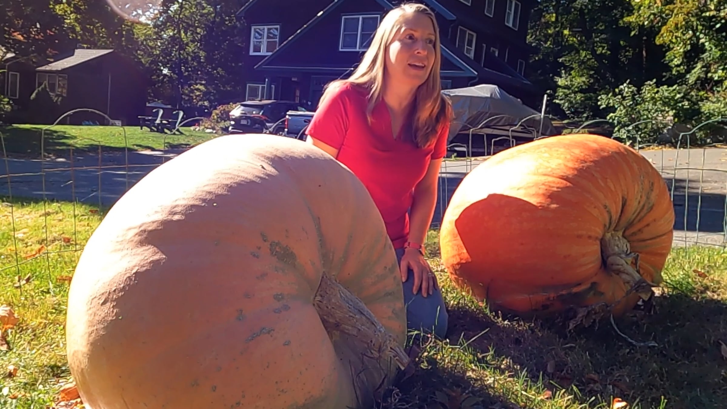Giant Atlantic Pumpkins with Laura Zisson | Videos & Movies on Vimeo