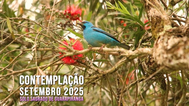 Capa do vídeo “Contemplação do mês de Setembro de 2025 | Solo Sagrado de Guarapiranga”