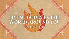 Related Embedded Video Item Thumbnail