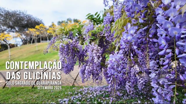 Capa do vídeo “Contemplação das Glicínias no Solo Sagrado | Setembro / 2025”