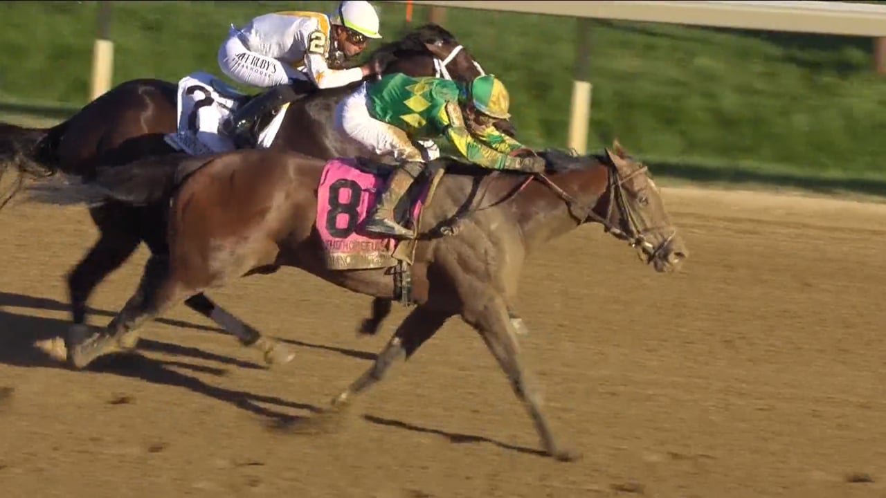 Chancer McPatrick | Hopeful-G1 at Saratoga