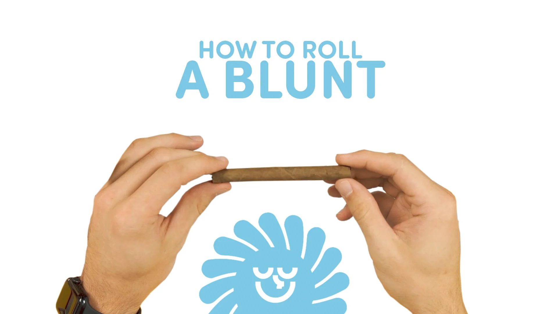 tobacco blunt cones G-Rollz Cheech & Chong Terp Infused Blunt Cones