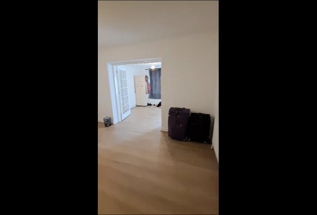Video 1: