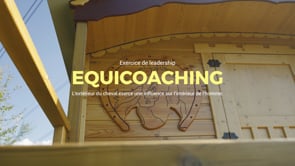 Equicoaching