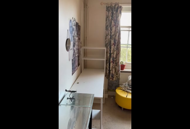 Room for rent central bridport  Main Photo