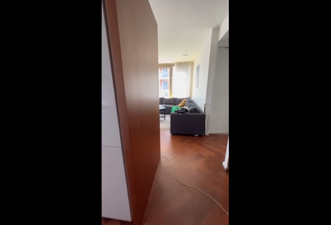 Video 1: