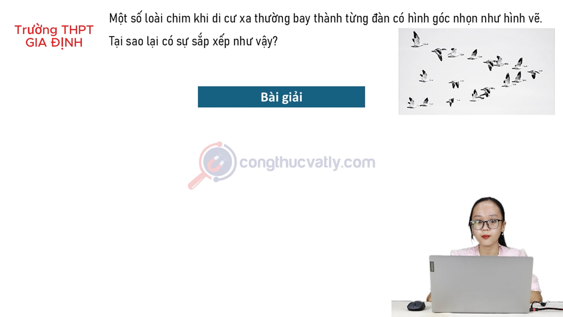 Một số loài chim khi di cư xa thường bay thành từng đàn có hình góc nhọn như hình vẽ. Tại sao lại có sự sắp xếp như vậy?
