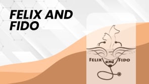 Felix And Fido At Home Nursing Care Ltd video