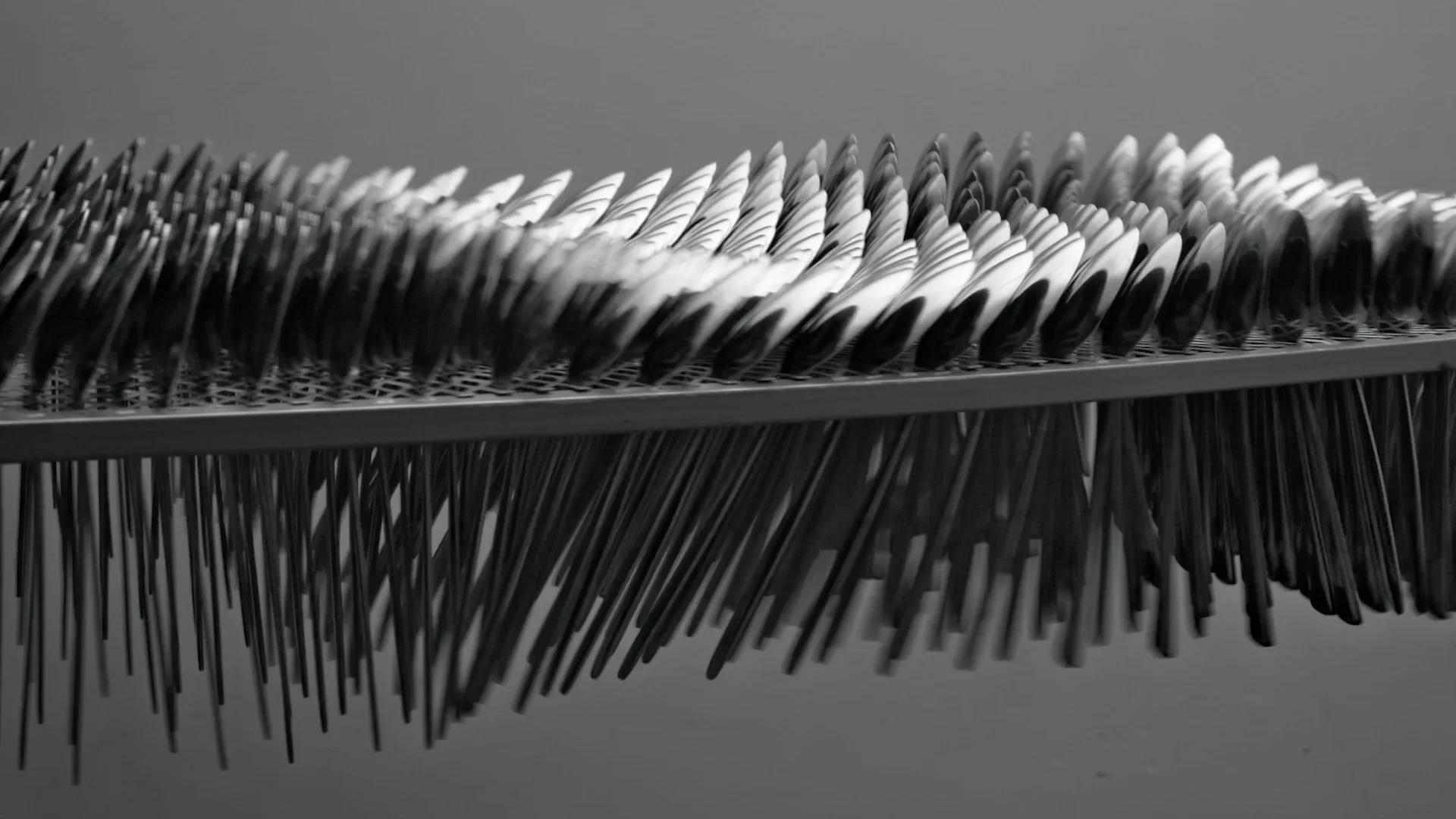 Motion — Lisa Jahovic, Mini Title 2025