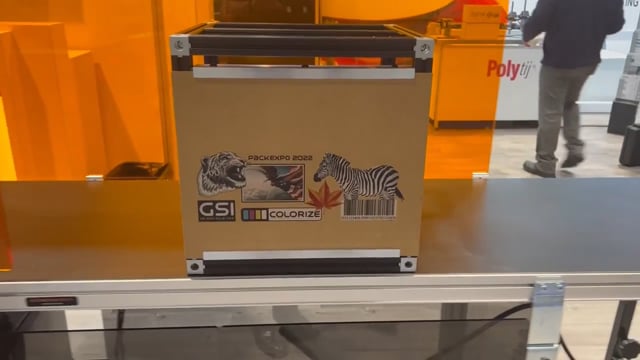 GSI Colorize Technology