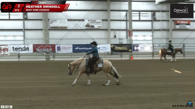 #373 HEATHER SWINDELL