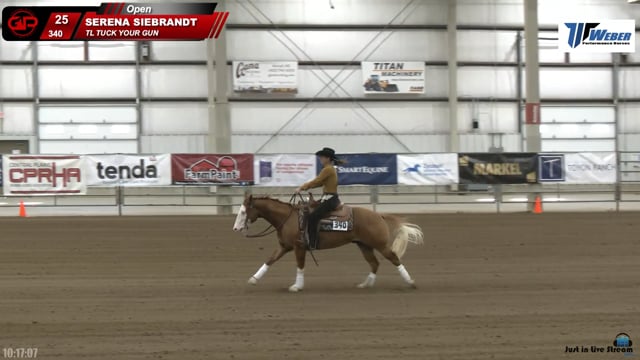 #340 SERENA SIEBRANDT