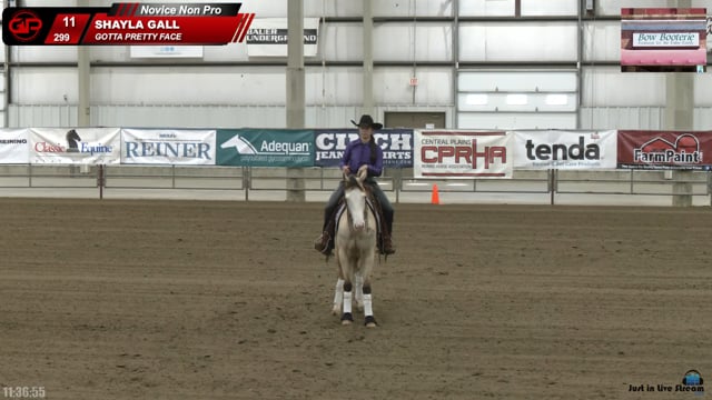 #299 SHAYLA GALL