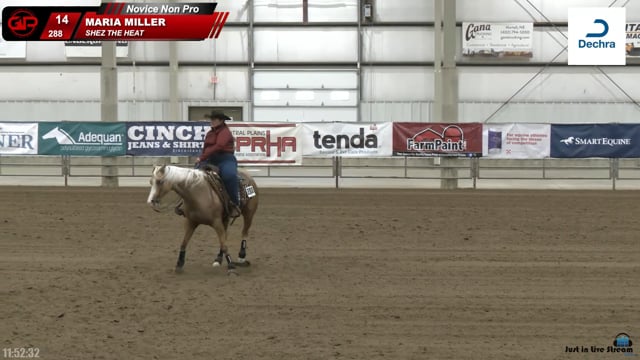 #288 MARIA MILLER