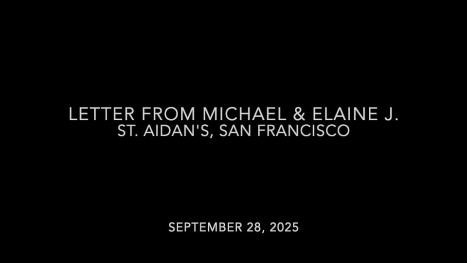 To You, the Witnesses