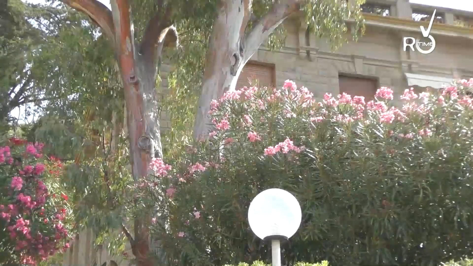video