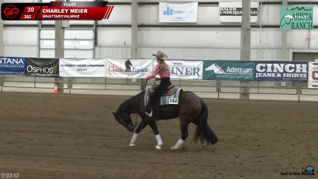 #382 CHARLEY MEIER