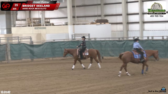#305 BRIDGET SEELAND