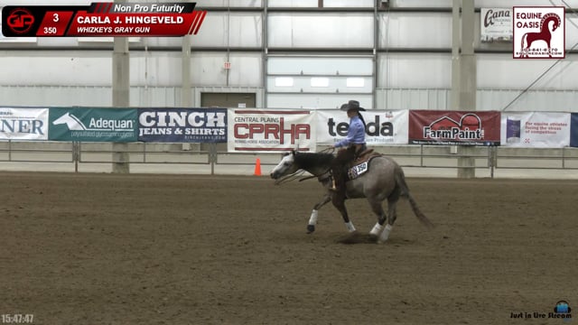 #350 CARLA J. HINGEVELD