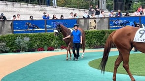 動画サムネイル