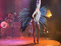 Honey Bee Rose – Black & Tan Fantasy