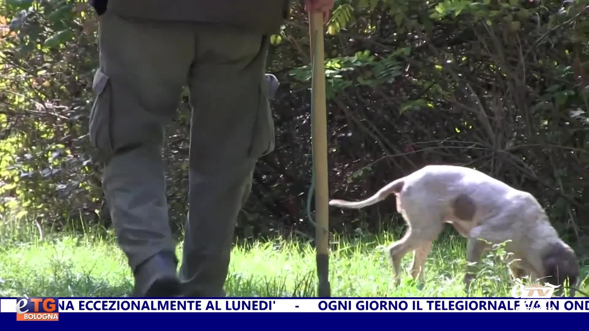 èTG –  Edizione Giorno 12/10/2025