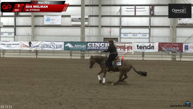 #357 AVA WELMAN