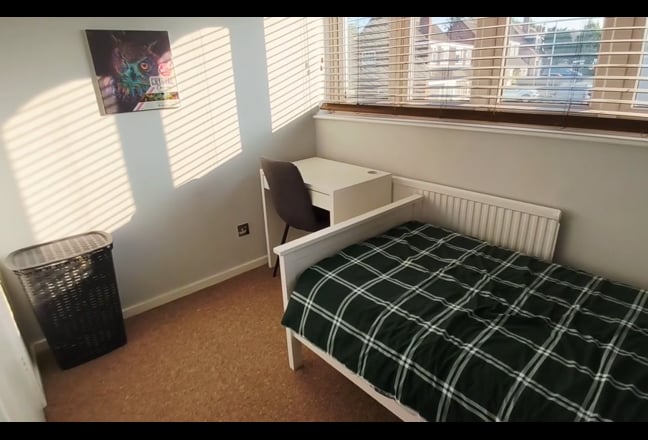 Single Room to let Main Photo