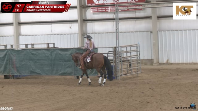 #291 CARRIGAN PARTRIDGE