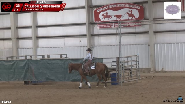 #344 CALLISON Q MESSENGER