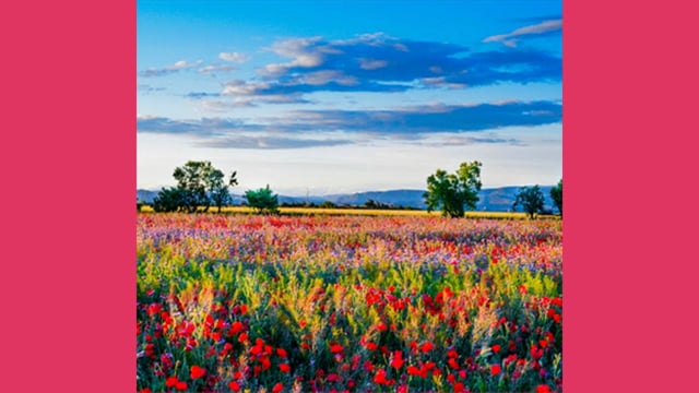 TPC Worship 10-12-2025