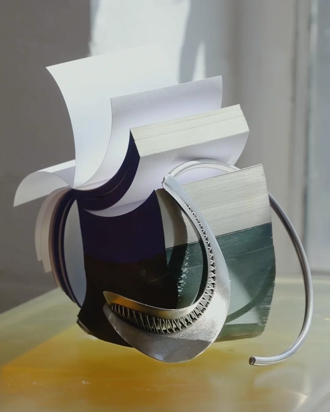 Motion — Lisa Jahovic, Mini Title 2025