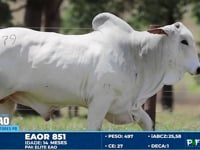 Lote 179