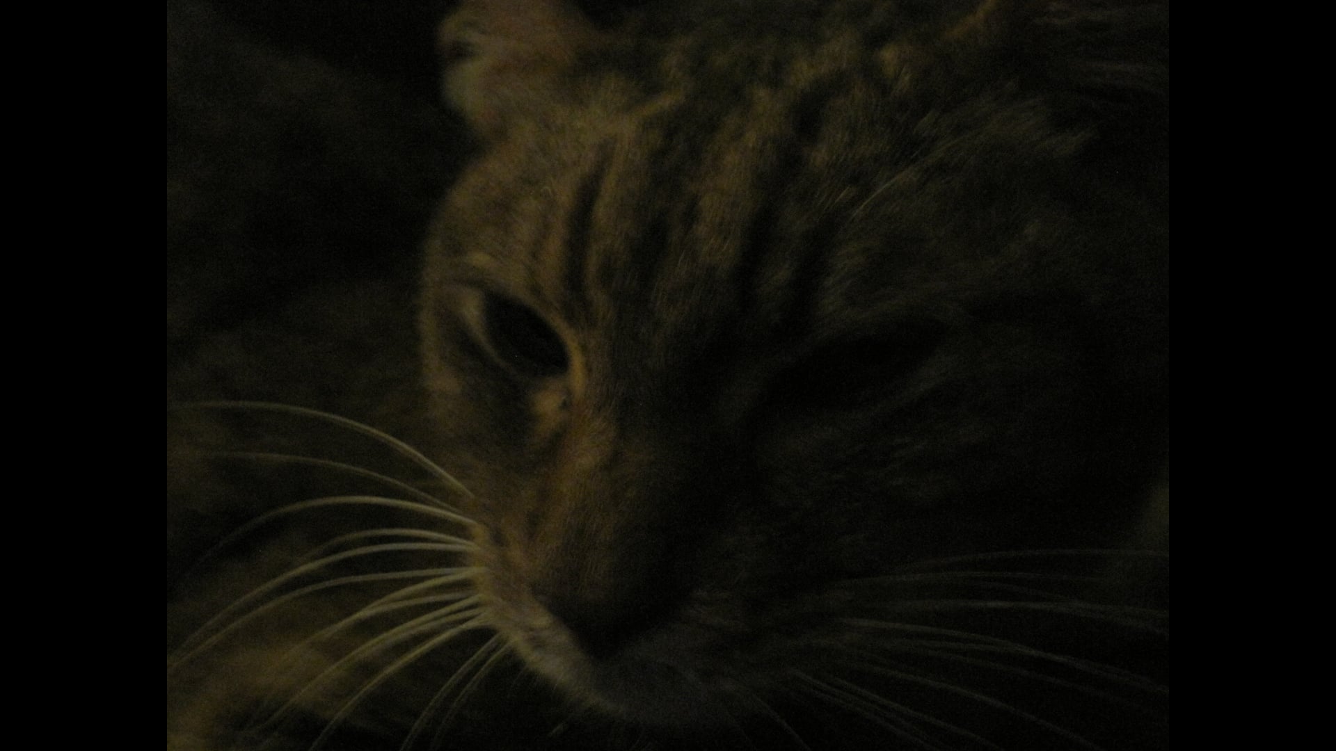 2025 September 01: Noticing Barriers to Joy