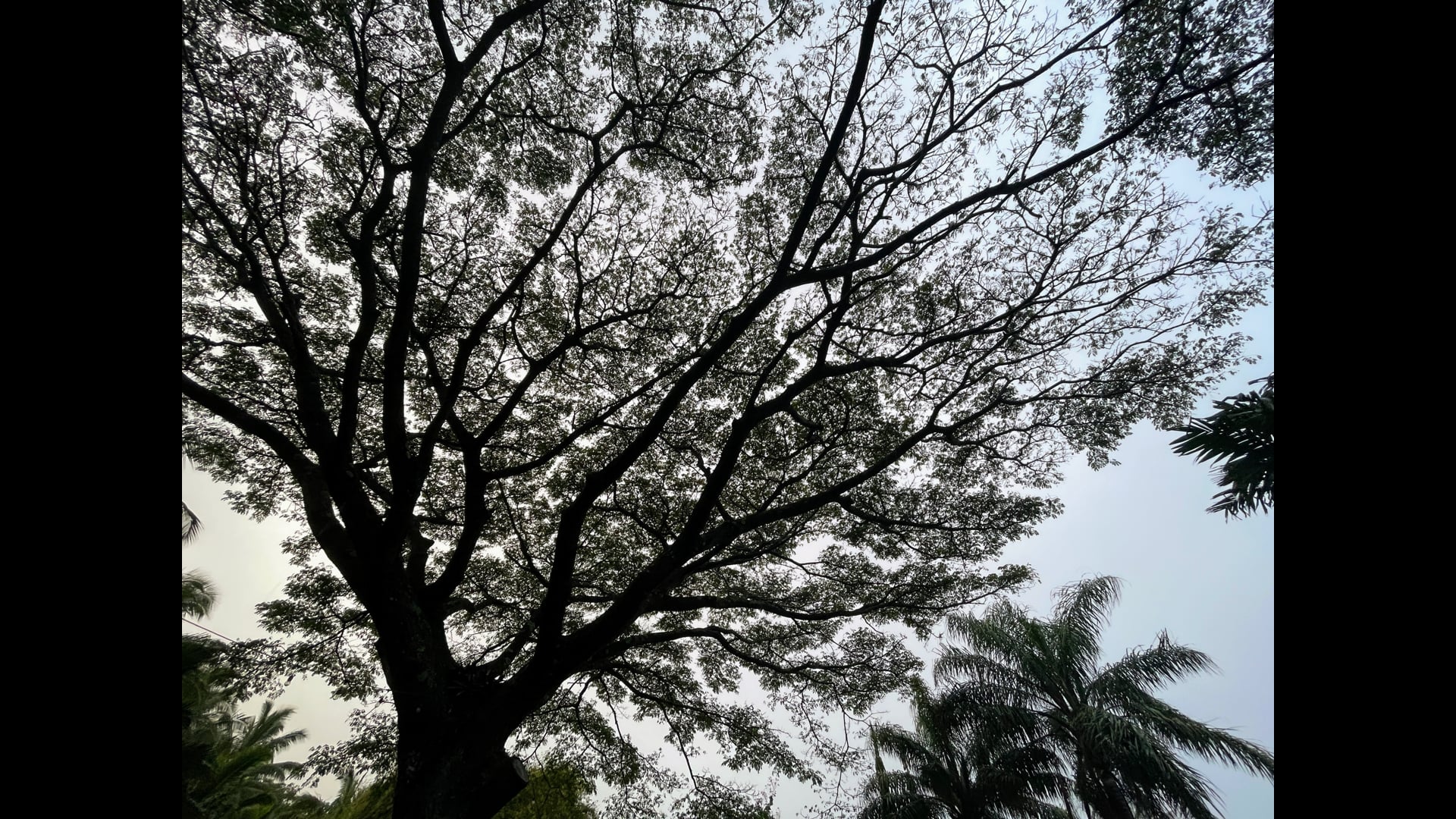 2025 September 17: Misunderstandings of the Truth of How Things Are