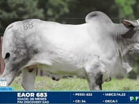 Lote 188