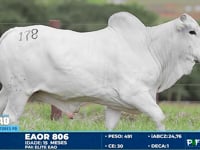Lote 178