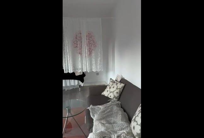 Looking for female flatmate to move in Dec 🥨 Main Photo